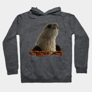 Eagle digital painting Hoodie